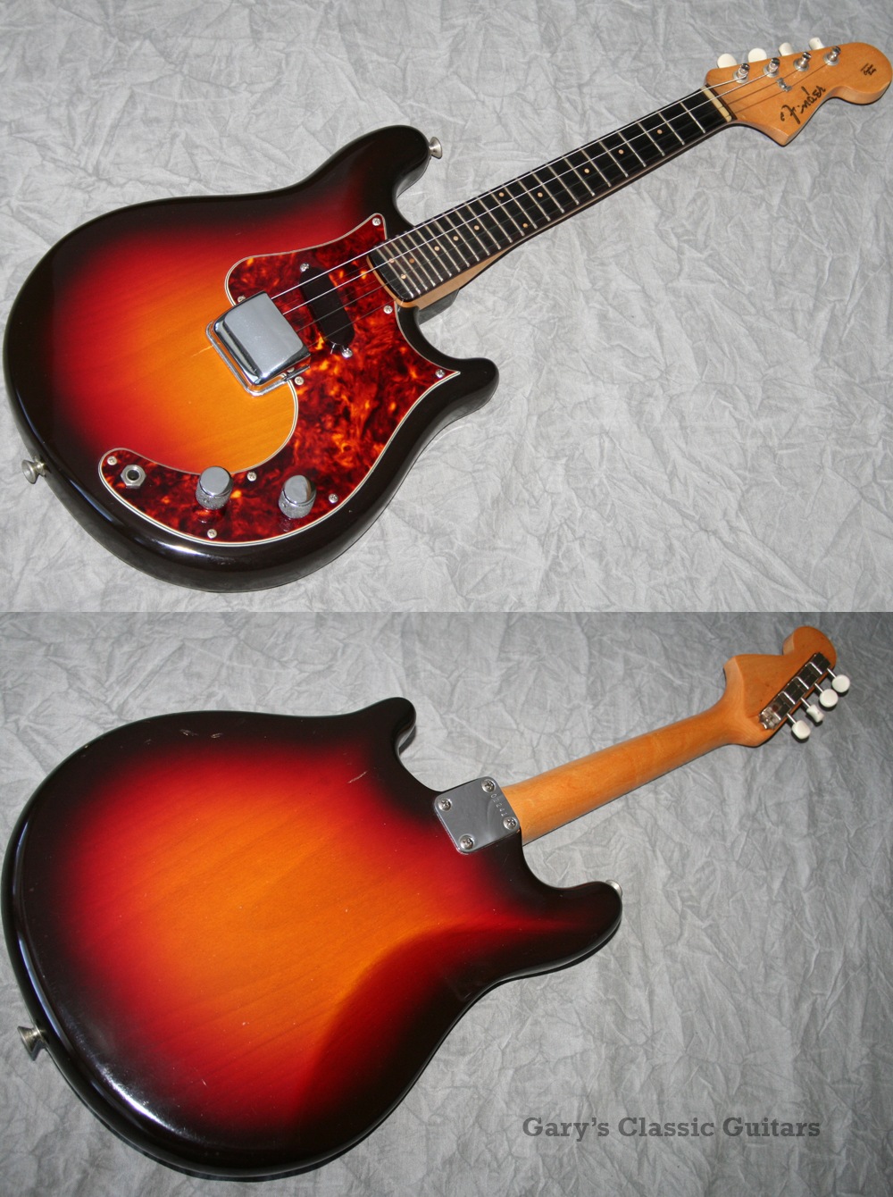 fender mandocaster