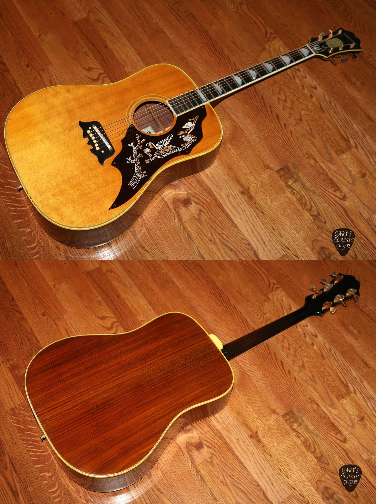 epiphone 120