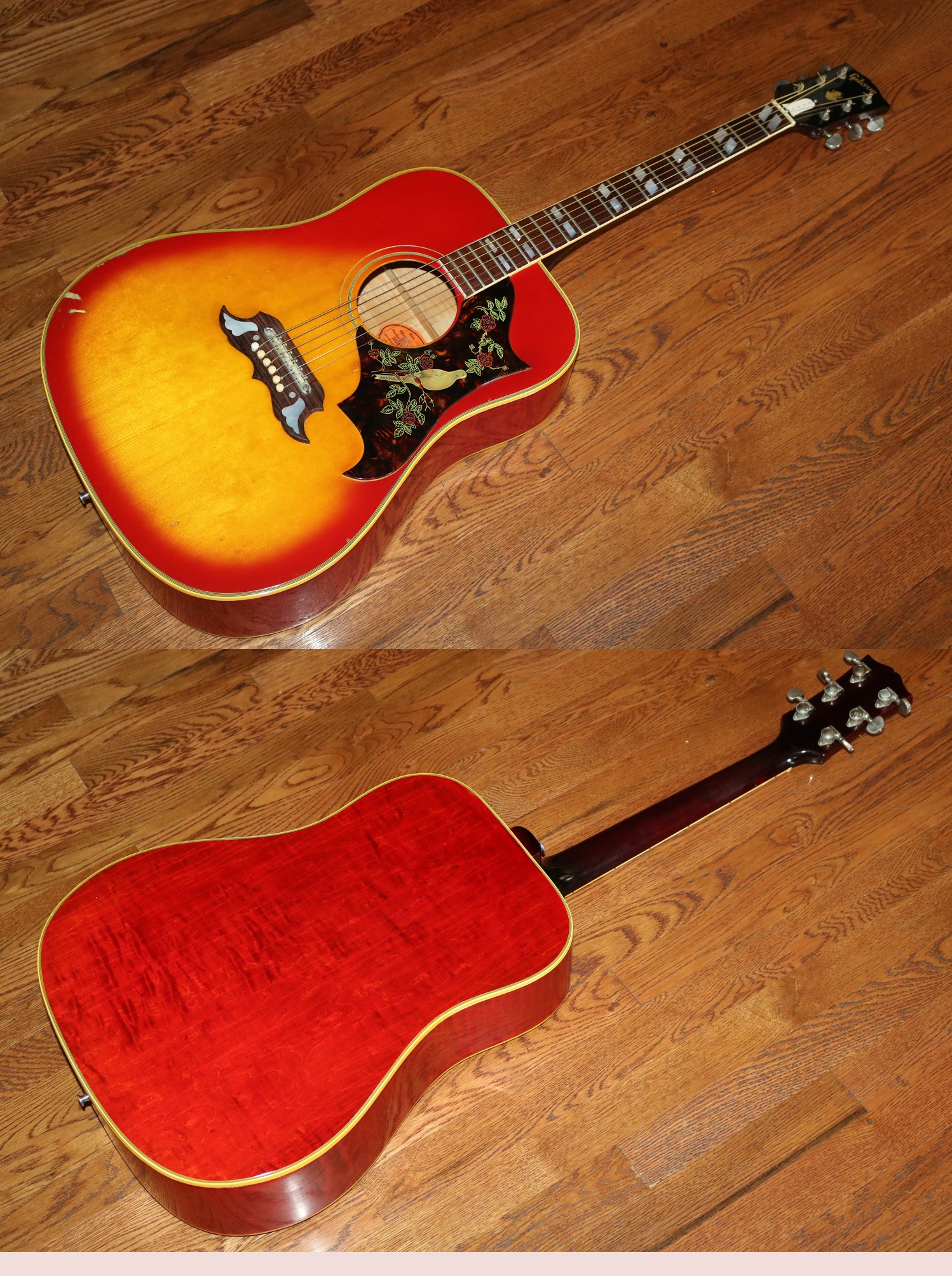 1966 gibson dove